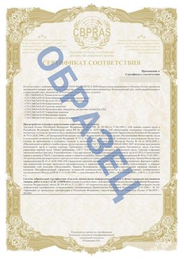 Образец Приложение к СТО 01.064.00220722.2-2020 Курган Сертификат СТО 01.064.00220722.2-2020 